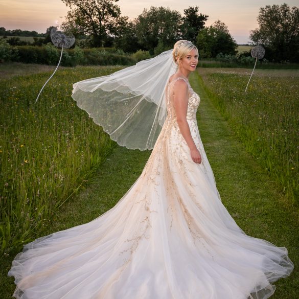 Wedding Packages
